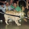 Doggg
