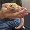 閉嘴