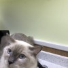 你叔在这呢；