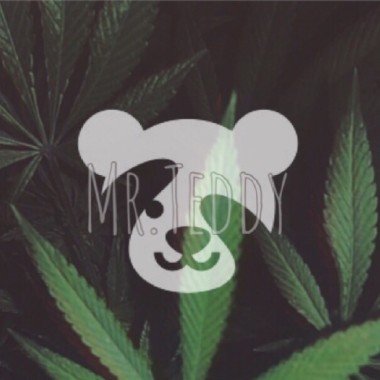 Paris travel & LyricsMr.Teddy小布 2019 Demo