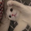 Babyü