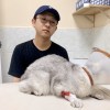 班克西
