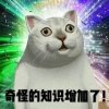 甜梅玛莉