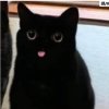 覺