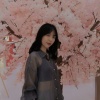 -熏星