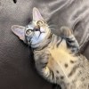 詹振暘