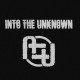 Into the Unknown
