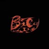 BSCYD