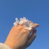 zheng-cindy
