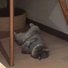 我在呼吸