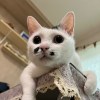 Cairu