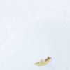 cold_truth_jtn