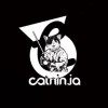 Cat’s ninja