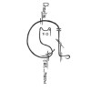 Charlie_cat_meow_