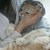 CHEN