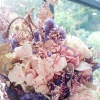Chia_lo