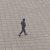 張綺