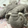 丁🐷
