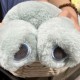 o_o