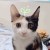 sunnyrain107