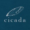 Cicada（Taiwan）