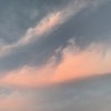CirKo