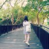 飂