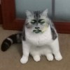 DUAN