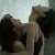 Lorena