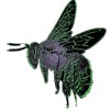 Complicated ZombeeZ