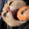 筱明