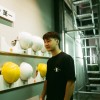Cy6