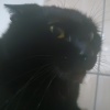 Deadeyes