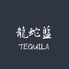 桐生黑龍vs龍蛇藍_(Tequips)