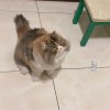HouDebby
