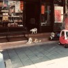 陳奕蓁