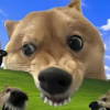 DoggieChan