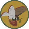 船雀Nocturnal Sparrow