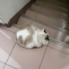 阿東東