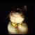Donut cat