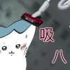 Doris_901207