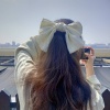 Dream