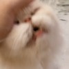 eee_bite