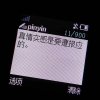 砂糖熊二