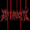 血求Erythrocyte