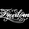 FReeDoM 紹恩-微笑帶過 (DEMO)