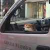 fan_0210