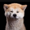 Felix