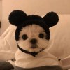 百了个百