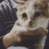 毕竟是格兰芬多的击球手